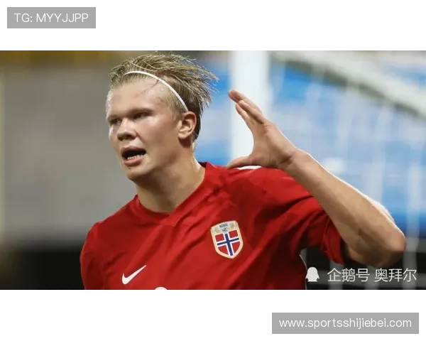 哈兰德缺席世界杯的主要原因是什么